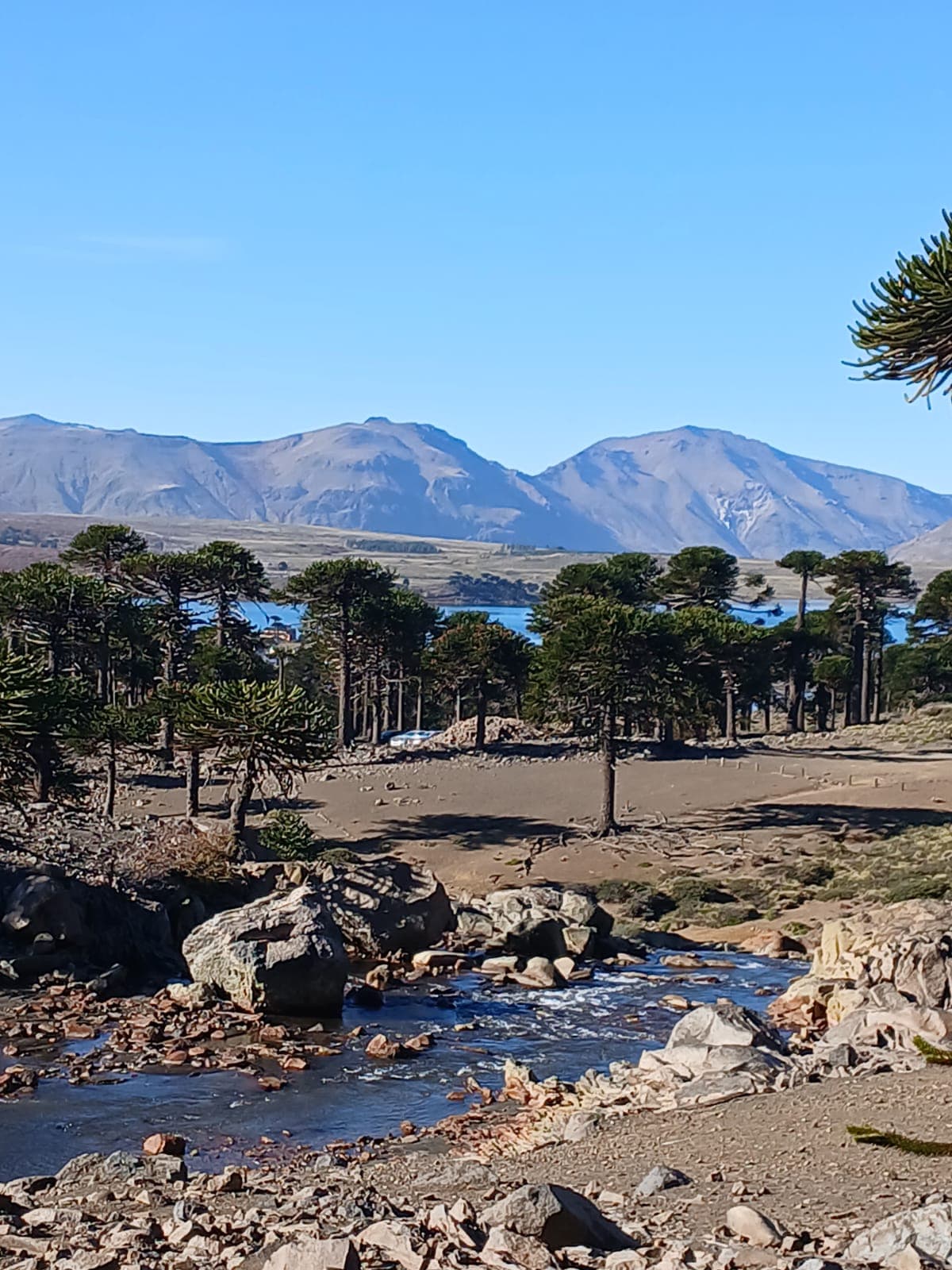 Paisaje Caviahue Patagonia — foto 1