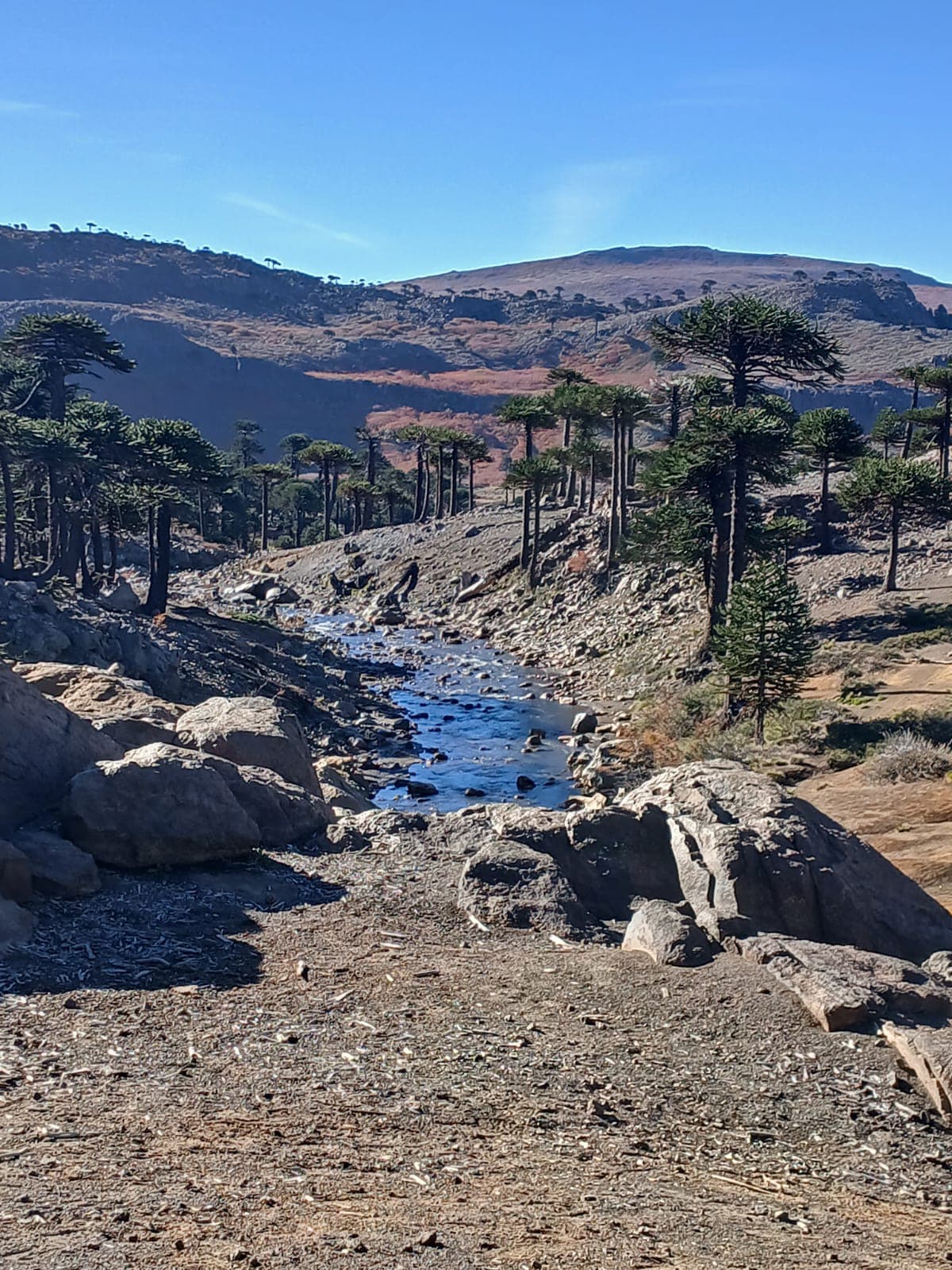Paisaje Caviahue Patagonia — foto 3
