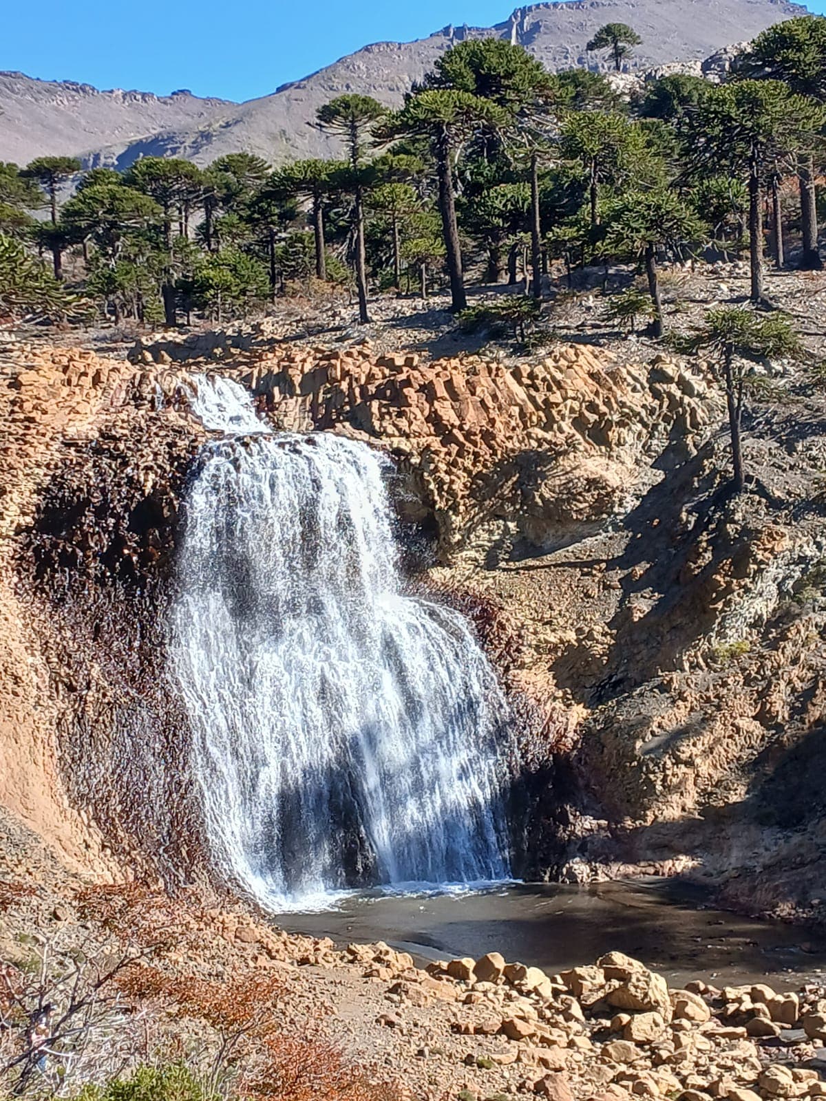 Paisaje Caviahue Patagonia — foto 4