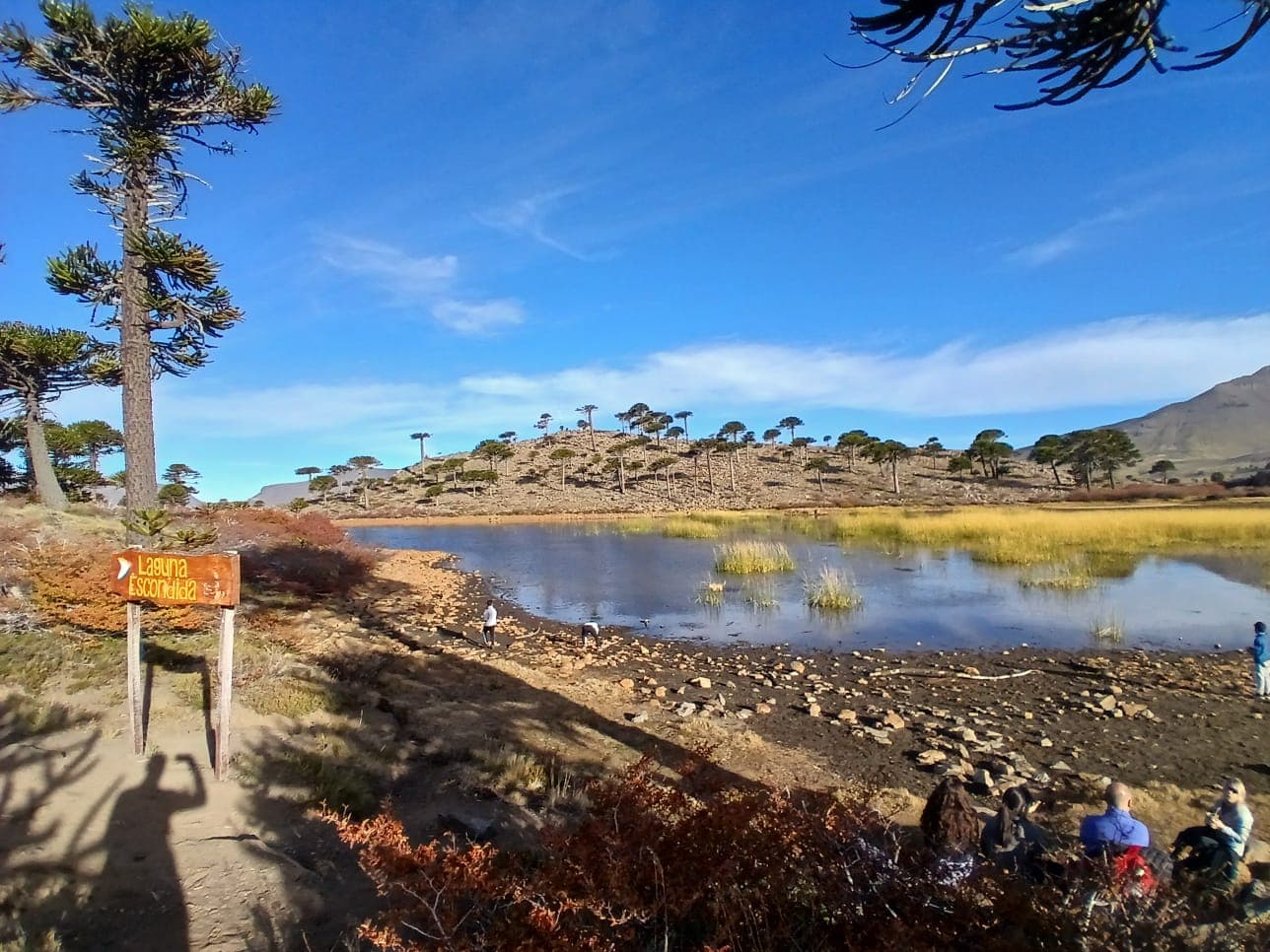 Paisaje Caviahue Patagonia — foto 13