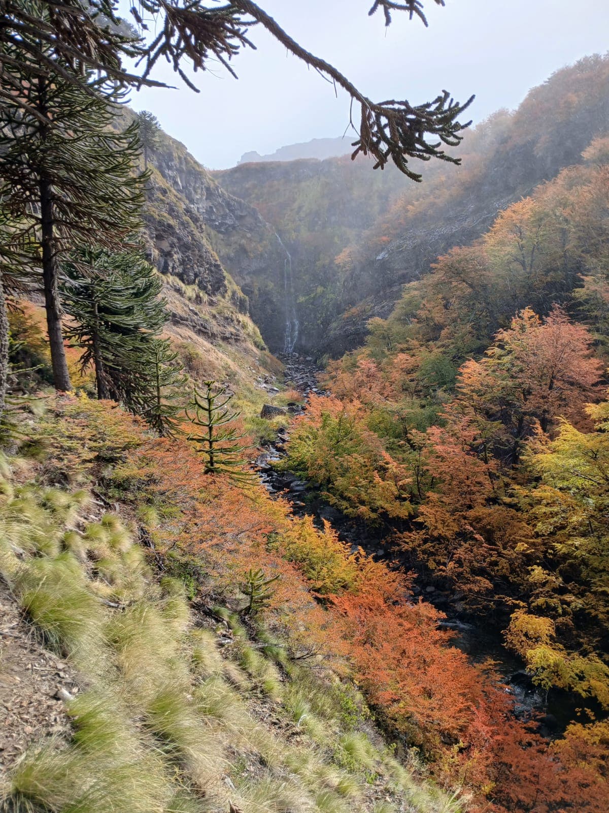 Paisaje Caviahue Patagonia — foto 19