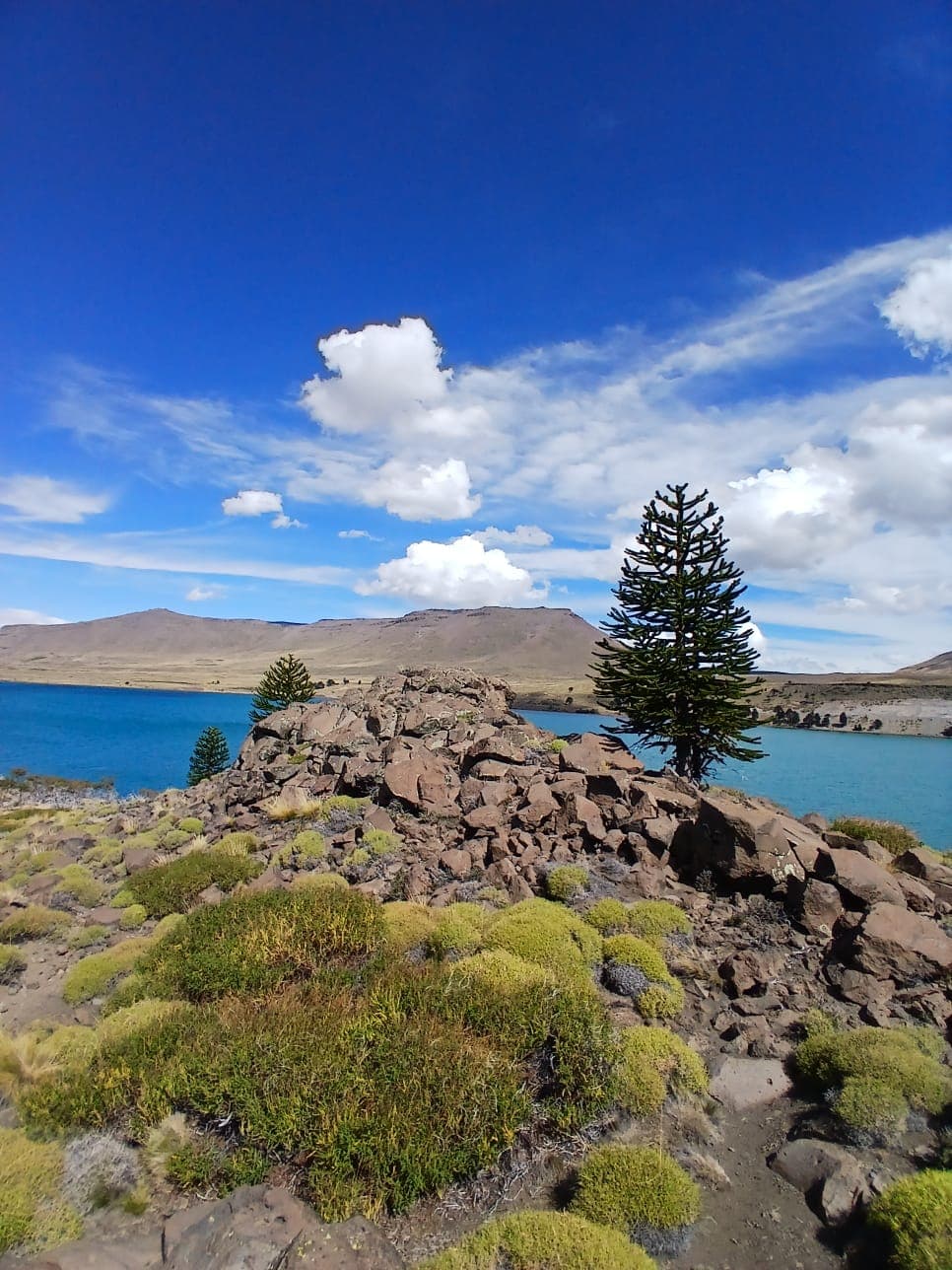 Paisaje Caviahue Patagonia — foto 26