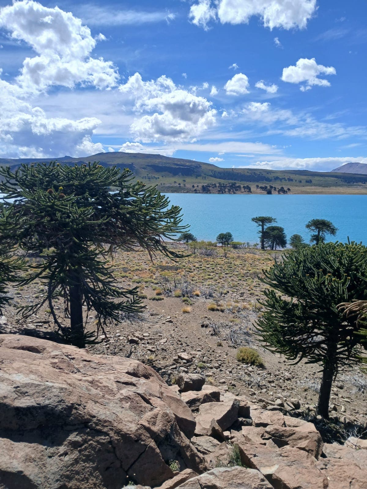 Paisaje Caviahue Patagonia — foto 27
